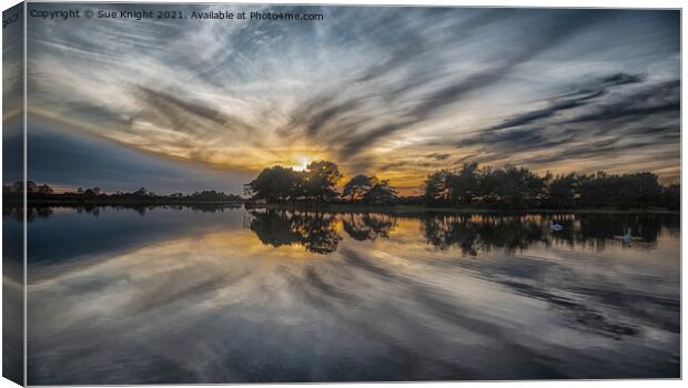 Dramatic skies at Hatchet Pond, New Forest Canvas Print by Sue Knight
