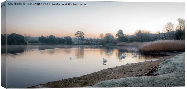 Beaulieu Millpond, New Forest  Canvas Print by Sue Knight