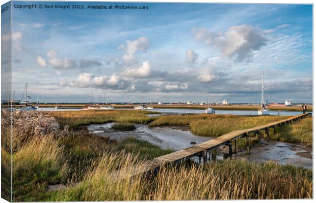 Ashlett Creek scene Canvas Print by Sue Knight