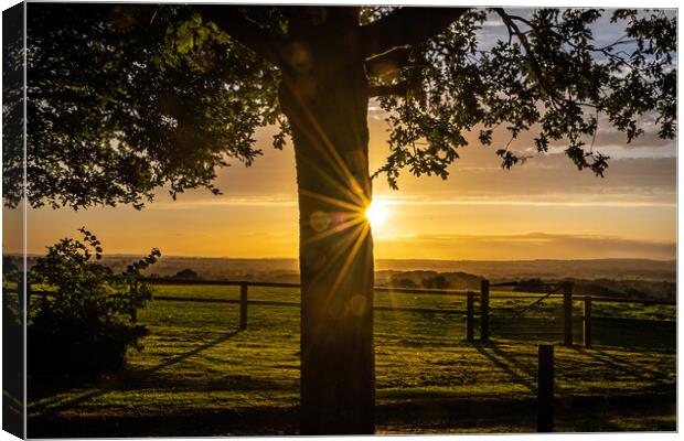A Golden Sunset Over The Blackmore Vale Valley Canvas Print by Sue Knight