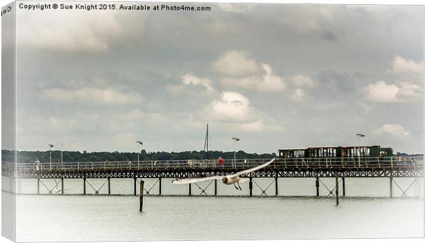  Hythe pier and train Canvas Print by Sue Knight