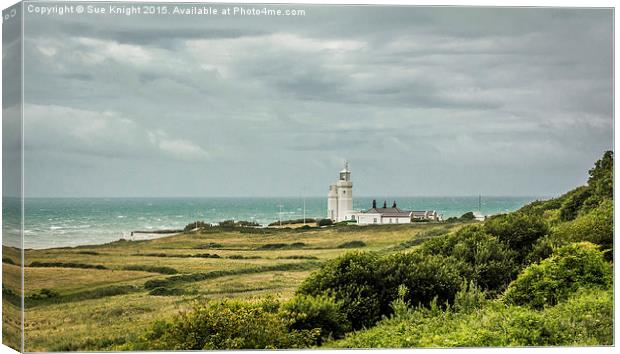 St. Catherine's Lighthouse Canvas Print by Sue Knight
