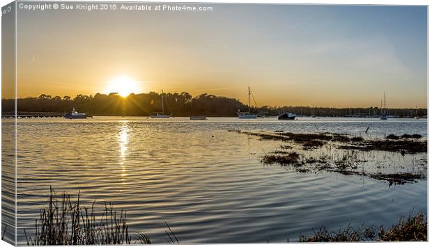  Beaulieu River sunset Canvas Print by Sue Knight