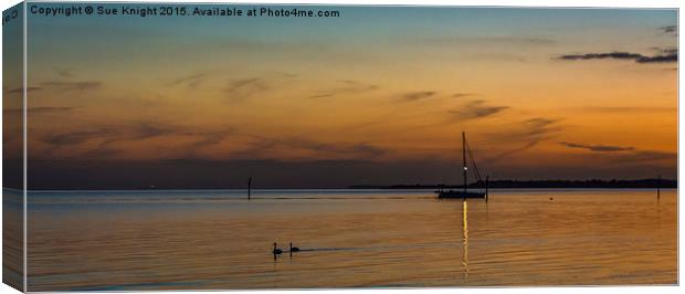 Golden sunset at Lepe Canvas Print by Sue Knight