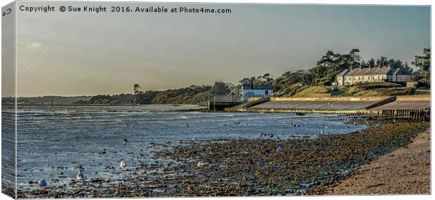Tide out at Lepe,Hampshire Canvas Print by Sue Knight