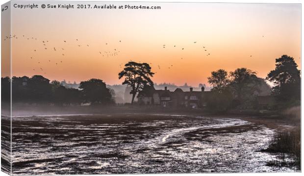 Beaulieu Mill Pond sunrise Canvas Print by Sue Knight