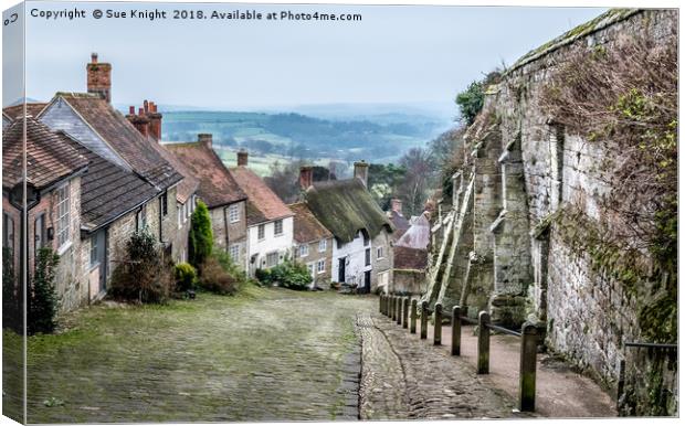 Dorset's Historic Gold Hill Vista Canvas Print by Sue Knight