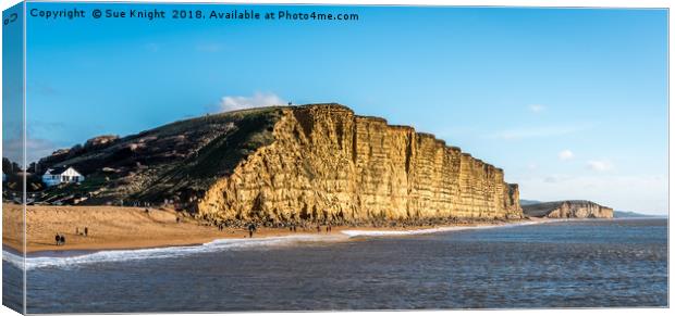 View of West Bay,Dorset Canvas Print by Sue Knight