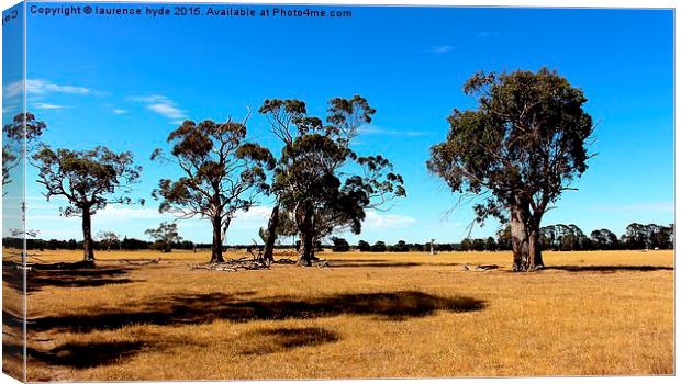  Outback Summertime Canvas Print by laurence hyde