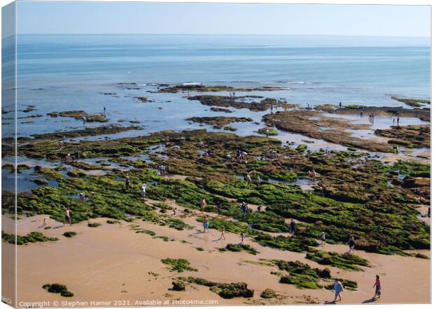 Seaside Rockpools Canvas Print by Stephen Hamer