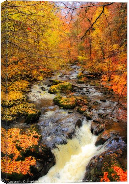 Aberfeldy Autumn Canvas Print by Stephen Hamer