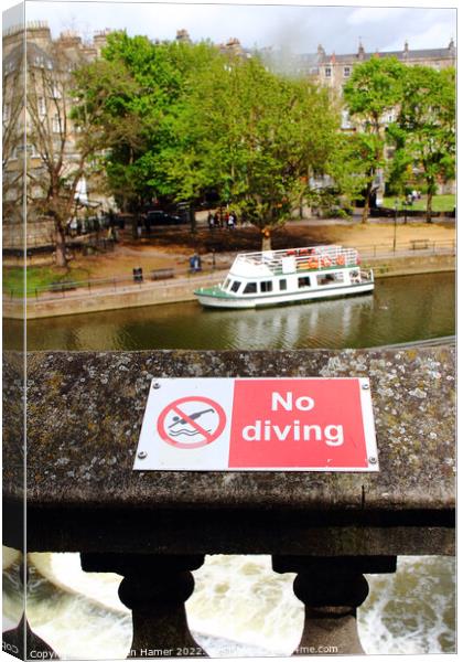 No Diving Canvas Print by Stephen Hamer