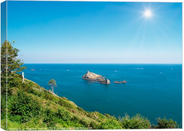 South Devon Seascape Canvas Print by Stephen Hamer