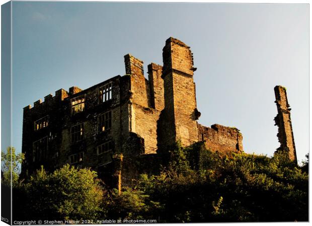 Haunted Beauty Berry Pomeroy Castle Ruins Canvas Print by Stephen Hamer