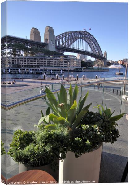 Sydney Harbour Bridge Canvas Print by Stephen Hamer