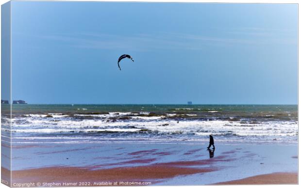 Blustery Day at the Beach Canvas Print by Stephen Hamer