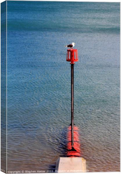 Coastal Sentinel Canvas Print by Stephen Hamer