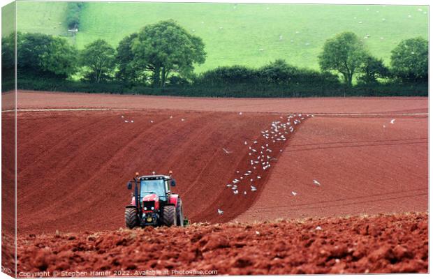 Rich Harvest Soil Canvas Print by Stephen Hamer