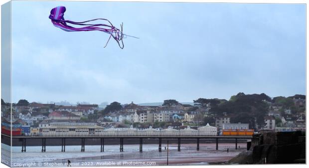 Long-Tailed Kite Takes Flight Canvas Print by Stephen Hamer