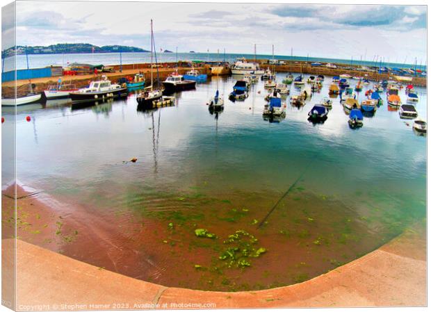 Fish Eyed View of Paignton Harbour Canvas Print by Stephen Hamer