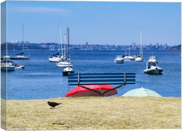 Blue Bench Canvas Print by Stephen Hamer