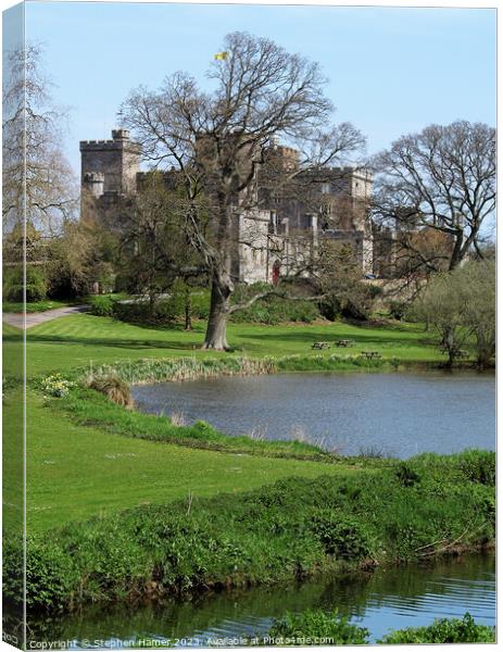 Powderham Castle Canvas Print by Stephen Hamer