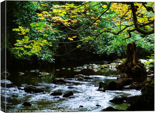 Autumnal River Scene Canvas Print by Stephen Hamer