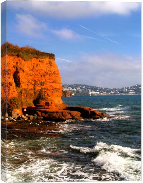 Sandstone Headland Canvas Print by Stephen Hamer