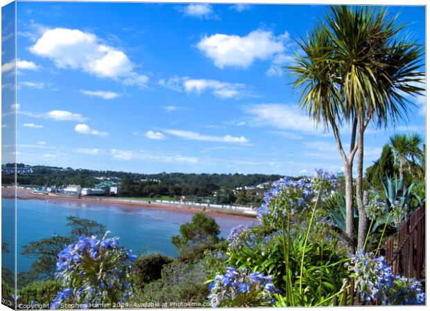 The English Riviera Canvas Print by Stephen Hamer