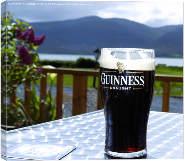 A Pint of the Black Stuff Canvas Print by Stephen Hamer