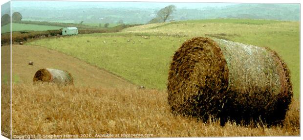 The Golden Harvest Canvas Print by Stephen Hamer