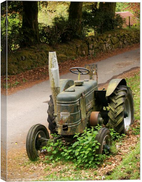 Abandoned Beauty in the Countryside Canvas Print by Stephen Hamer