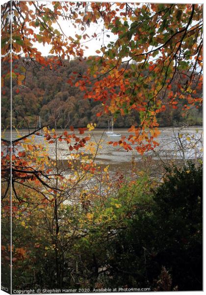 Autumn Leaves on the Dart Canvas Print by Stephen Hamer