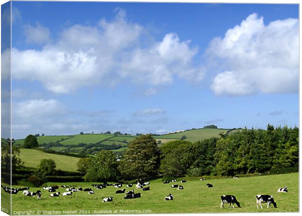 Rural Devon Canvas Print by Stephen Hamer