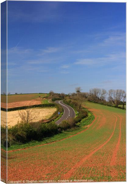 Curving Road Canvas Print by Stephen Hamer