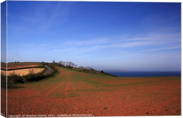 Red Soil of South Devon Canvas Print by Stephen Hamer