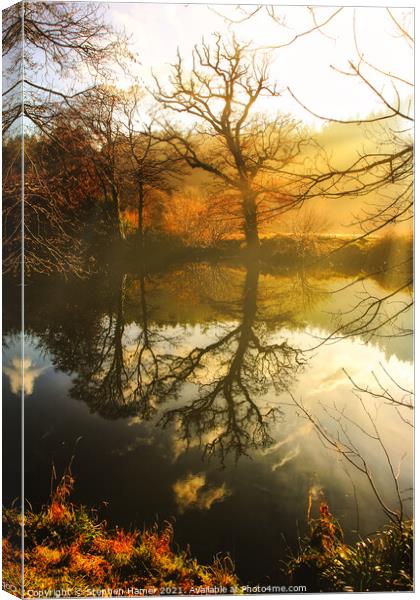 River Reflections Canvas Print by Stephen Hamer