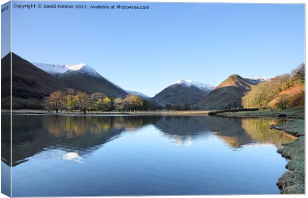 Brothers Water View, Lake District, Cumbria, UK Canvas Print by David Forster