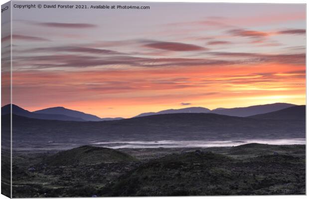 Colourful Dawn Light and Mist on Rannoch Moor, Scotland, UK Canvas Print by David Forster