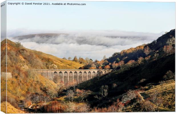 Smardale Gill Viaduct in Autumn, Cumbria, UK Canvas Print by David Forster