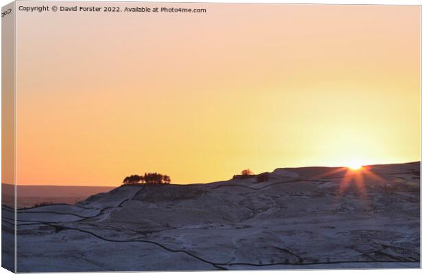 Kirkcarrion in Winter, Teesdale, County Durham, UK Canvas Print by David Forster