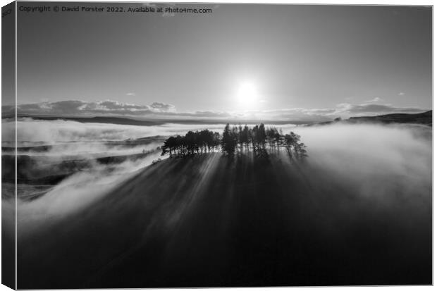 Kirkcarrion Light, North Pennines, Teesdale, UK Canvas Print by David Forster