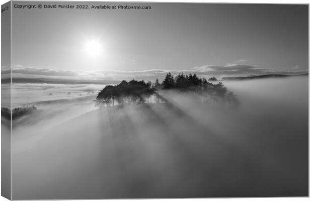 Kirkcarrion Light, North Pennines, Teesdale, UK Canvas Print by David Forster