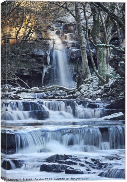 Summerhill Force in Winter, Bowlees, Teesdale, County Durham, UK Canvas Print by David Forster