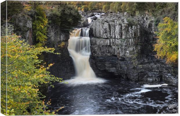 High Force Waterfall in Autumn, Teesdale, County,  Canvas Print by David Forster
