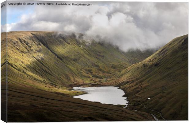 Sunshine on Hayeswater, Lake District, Cumbria, UK Canvas Print by David Forster
