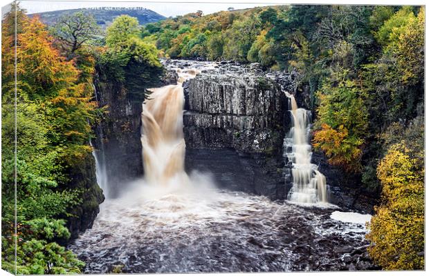 High Force Teesdale County Durham England Canvas Print by David Forster