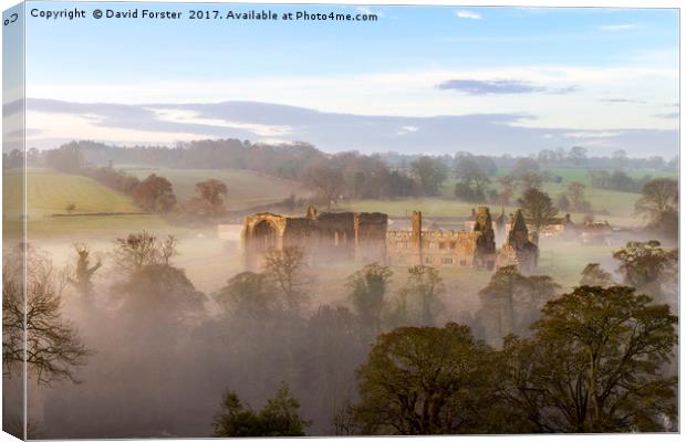 Egglestone Abbey Morning Mist Canvas Print by David Forster