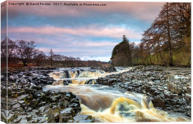 Low Force Upper Falls, River Tees, Teesdale Canvas Print by David Forster