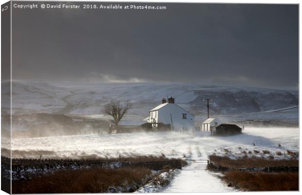 Dales Farm With Wind Blown Snow  Canvas Print by David Forster
